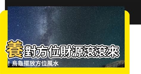 養烏龜方位|【養烏龜方位】養對方位財源滾滾來！烏龜擺放方位風水圖解